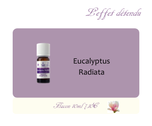 L’huile essentielle Eucalyptus Radiata