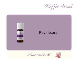 L’huile essentielle Ravintsara (10ml)