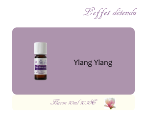 L’huile essentielle Ylang Ylang (10ml)