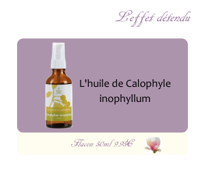 L’huile végétale de Calophylle inophyle